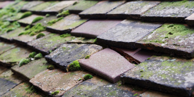 Barnwell roof repair costs